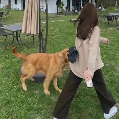 重金摇滚双面人